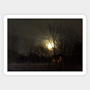 Dark Winter Full Moon Night Sticker